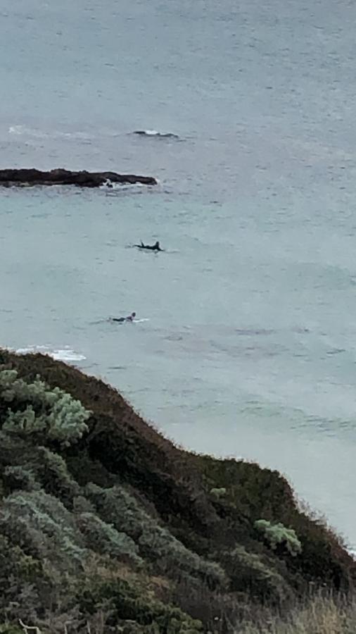Appartamento vista mare, ideale per il surf Castelsardo Esterno foto